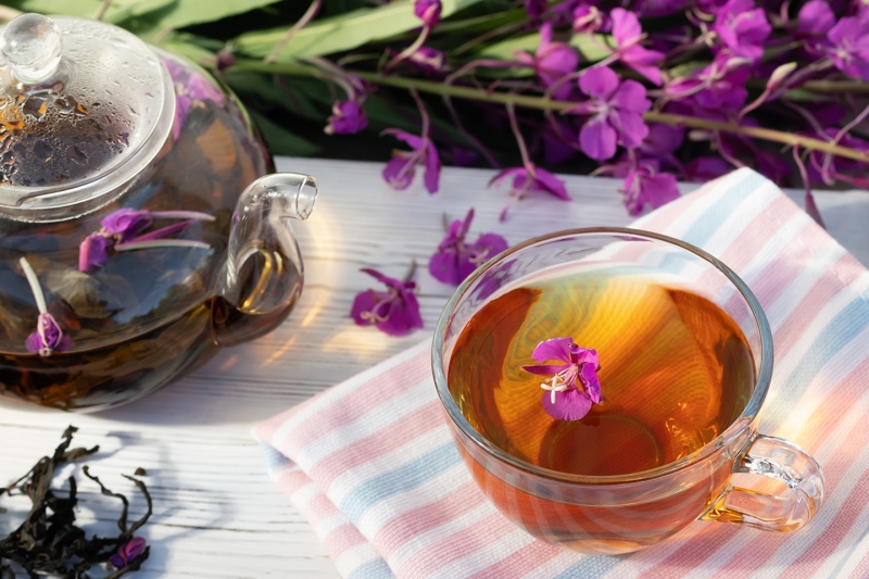 Иван-чай: польза и вред, как заваривать, советы диетолога