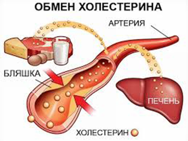 5 доступных продуктов, которые снизят уровень холестерина в крови