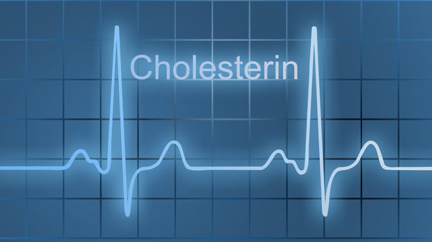Как жить с повышенным холестерином?