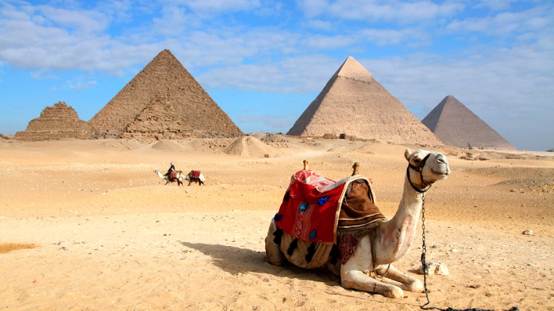 Отдых в Египте резко подешевел