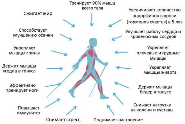 Скандинавская ходьба: особенности занятий в зимнее время
