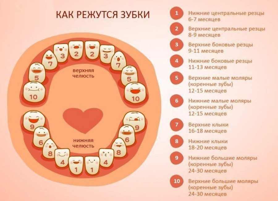 Первые зубки вашей крохи