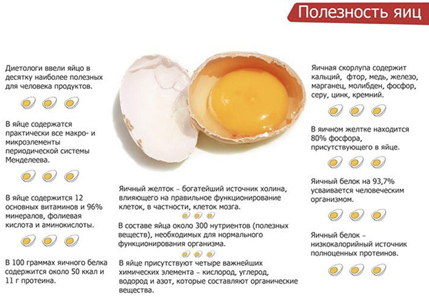 Что будет, если есть яйца каждый день? Отвечает врач