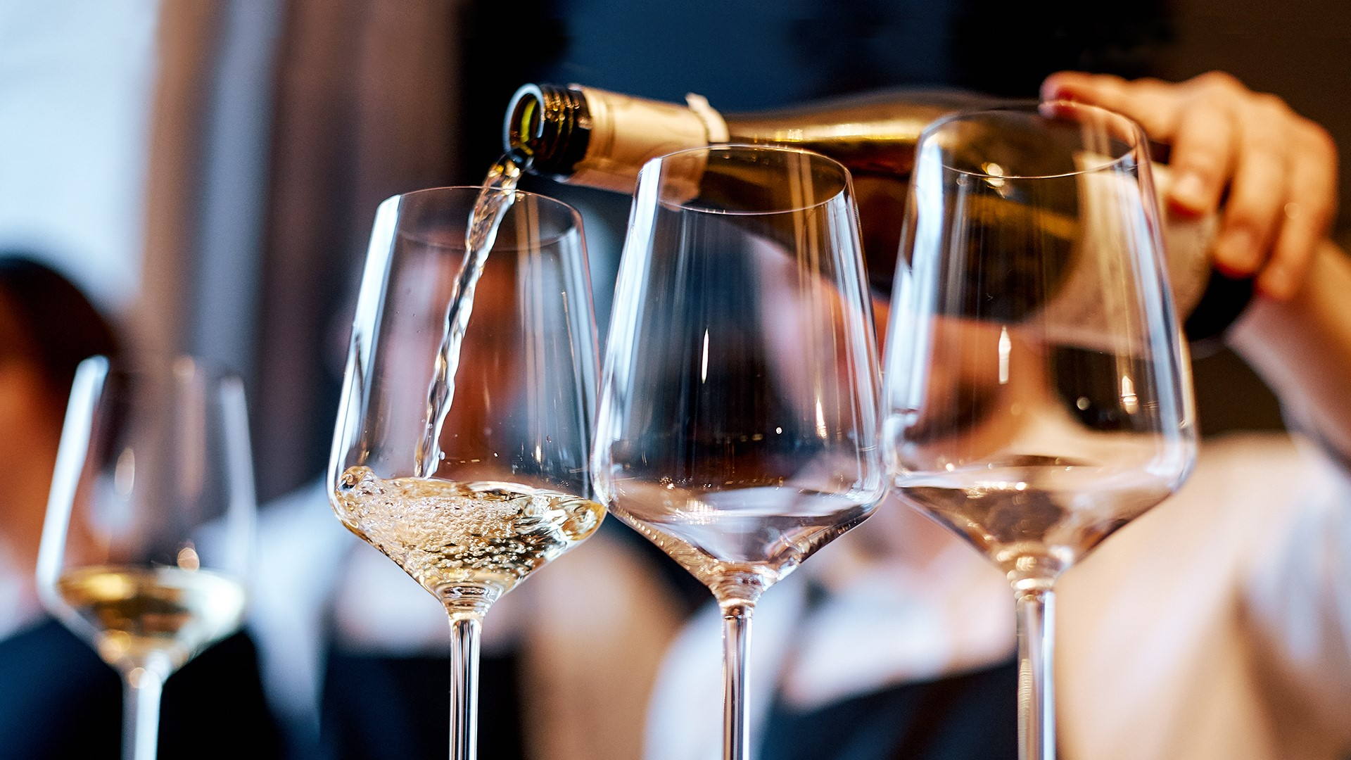 Дегустация белого игристого вина: характеристики, сорта и правила выбора идеального напитка для особого случая