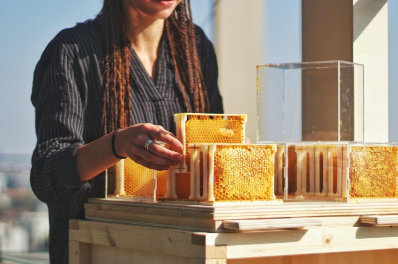 Как отличить натуральный мед от подделки: 10 способов
