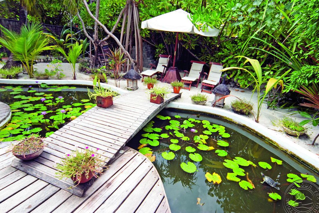 Отель мечты на Мальдивах: райский отдых в стиле «баунти»