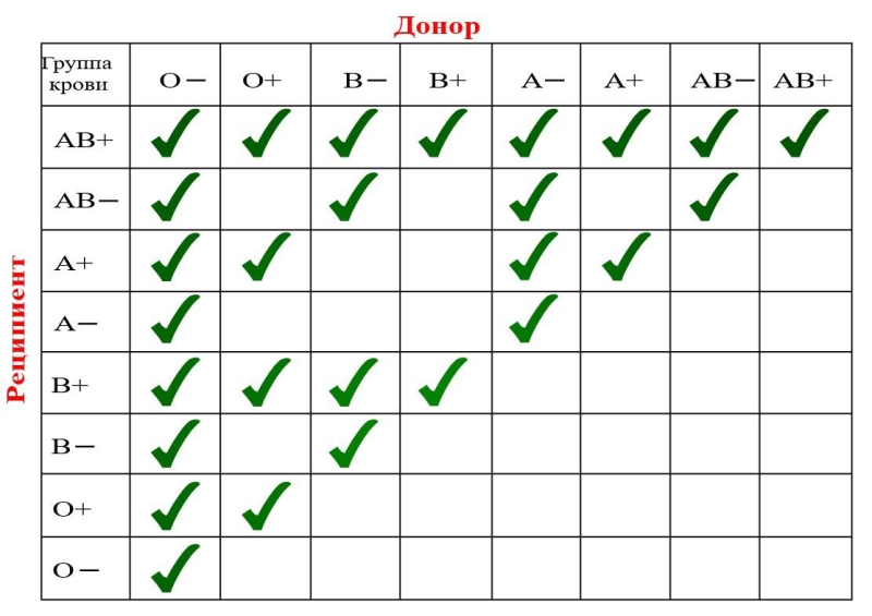 Как узнать свою группу крови: какие бывают, совместимость
