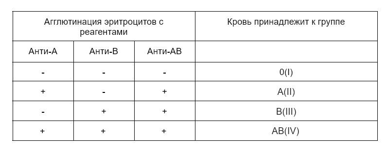 Как узнать свою группу крови: какие бывают, совместимость