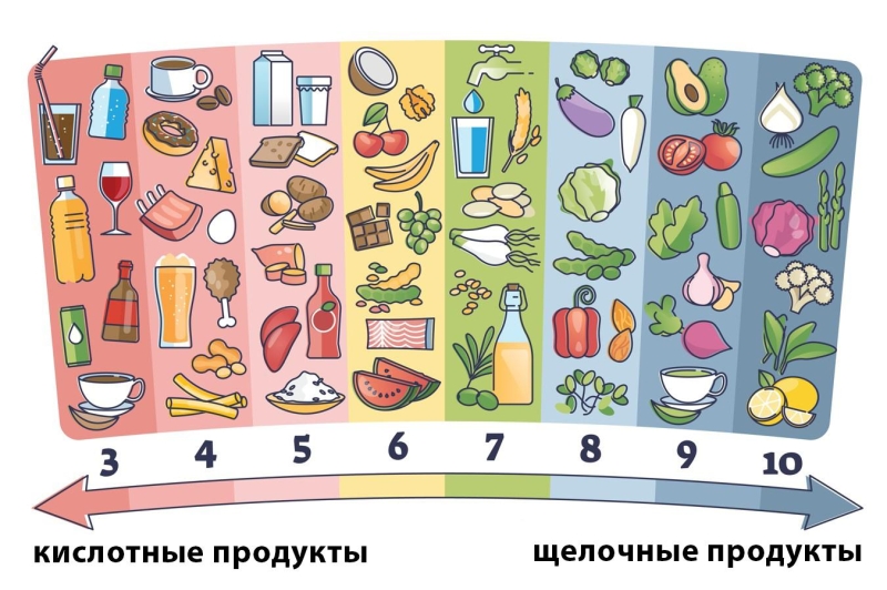 Что такое щелочные продукты и чем они полезны. Список