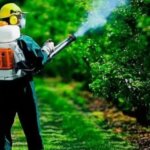 Комплексная обработка участка от комаров: почему важен профессиональный подход