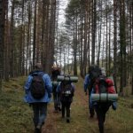 Почему Ленинградская область — идеальное место для пешего туризма?